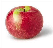 Close-up of a red apple hanging from a branch of a tree; other hanging apples are visible in the background.