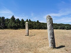 Les deux menhirs du plateau de Lambert.