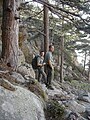 Garde-chasses de l'ONC en comptage au mouflon en Corse en tenue de terrain en 2000.