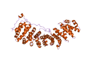 2c1m: NUP50:IMPORTIN-ALPHA COMPLEX