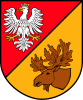 Coat of arms of Dobrzyniewo Fabryczne