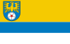 Bandeira do Condado de Tarnowskie Góry