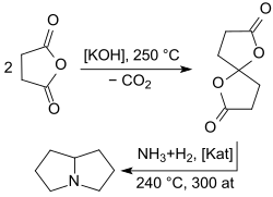 Pyrrolizidin aus Spirodilacton