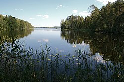 Salajärvi Juvalla Etelä-Savossa, näkymä Pohjoislahdelta järven itäosaan