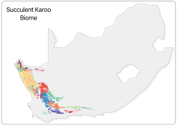 Succulent Karoo vegetation types
