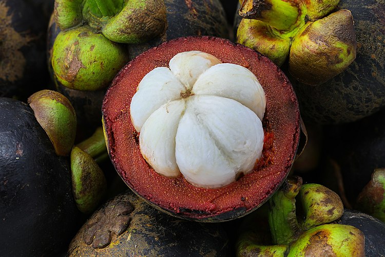 Плод мангостана (Garcinia mangostana) с частично снятой кожурой