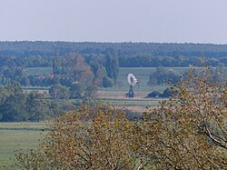 Вид Дарген