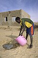 Image 15Young man waters a newly planted tree in Mali (2010) (from Agroforestry)