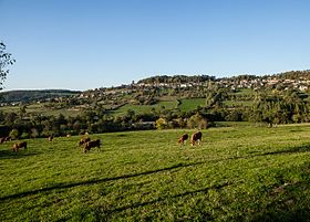 Alise-Sainte-Reine