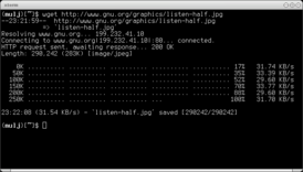 Скриншот программы GNU Wget