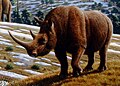 Woolly Rhino