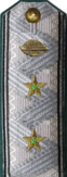 погоны мпс 1943