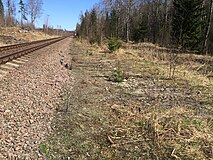 Разобранный боковой путь. Вид в сторону ст. Хийтола.