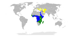 Verde = Residente Amerelo = Verão Azul = Inverno