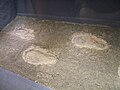 Footprints found at Yenikapı