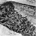 Image 4The bodies of the dead lie awaiting burial in a mass grave at the camp. (Bergen-Belsen concentration camp)