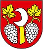 Coat of arms of Borová