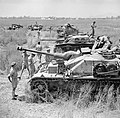 Troupes britanniques inspectant 2 StuG IV armé de leur StuK 40 L/48 (au premier plan), 2 Marder II et deux Semovente M40/75 capturés (Italie, 2 juin 1944).