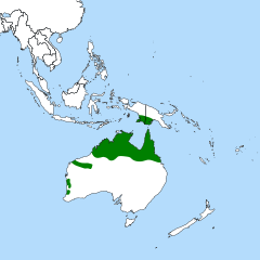 Distribuição geográfica