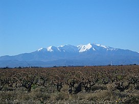 A snow-capped Canigou across the Roussillon plain.