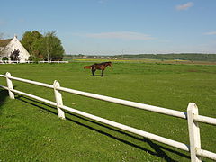 Paysage à Cerny-lès-Bucy.