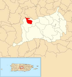 Location of Collores within the municipality of Orocovis shown in red