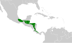 Distribución geográfica del cotinga azulejo.