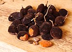 黑羅望子（英语：Dialium guineense） Black tamarind