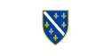 Flag of Bosnia and Herzegovina