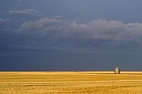 Open prairie outside Weyburn