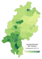 Green vote