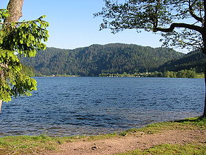 Vue du bord du lac.