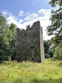 A four-sided tower made of weathered stone bricks, featureless except for a few slot windows, an arched entryway, and a simple turreted rooftop. The tower is 12-15 meters high (~40-50 feet). The walls are covered in ivy, moss, and lichen. The tower is surrounded by overgrown vegetation.