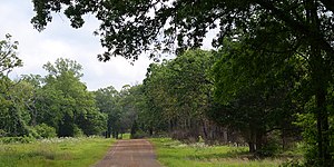 Northern Post Oak Savanna, Gus Engeling Wildlife Management Area, Anderson County (April 2017).