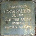 Cäsar Salomon