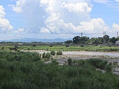 Tarlac River, Aquino Bridge