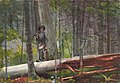 Winslow Homer, "Hunter in the Adirondacks" (1892)