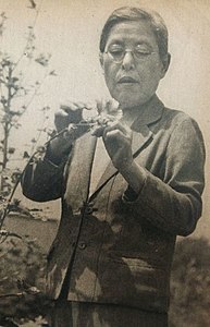 Kono Yasui