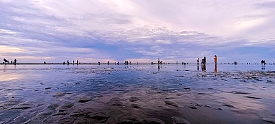 La zone humide de Gomei entre ciel et terre (juin 2022).