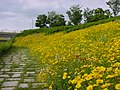 高岡おとぎの森公園