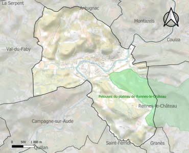 Carte de la ZNIEFF de type 1 sur la commune.