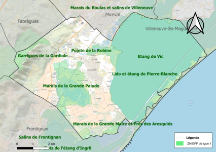 Carte des ZNIEFF de type 1 sur la commune.