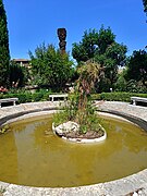 The carmen garden