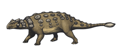 أنكيلوصور (أنكيلوصوريات)