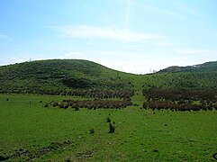 Boyd's Hill near Dunlop