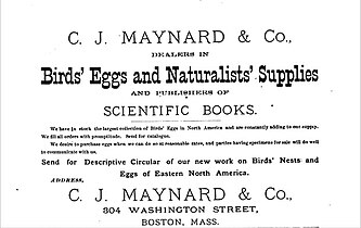 Advertisement for C.J. Maynard & Co., natural history supplies, 1882