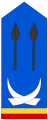 Lieutenant (Land Forces of the DR Congo)