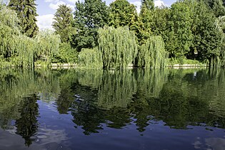 Reflets sur le Loing.