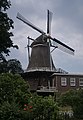 De Wijk, windmill de Wieker Meule