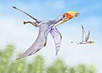 Le dimorphodon (vue d’artiste), un exemple de ptérosaure.